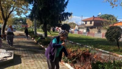 Ayvalık Belediyesi Park ve Bahçeler Müdürlüğü ekipleri, kışa hazırlık çalışmaları kapsamında ilçe