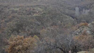 Bingöl’ün Düzyayla Köyü'nde kurulması planlanan bazalt ocağı ve kırma–eleme tesisine