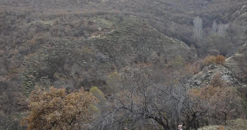 Bingöl’ün Düzyayla Köyü'nde kurulması planlanan bazalt ocağı ve kırma–eleme tesisine