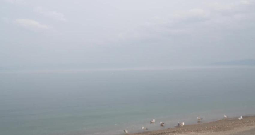 Mudanya, Bursa Büyükşehir Belediyesi'nin yatırımlarıyla yeniden canlanıyor. Mudanya’nın yıllardır özlenen