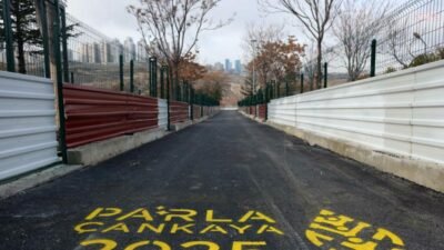 Çankaya Belediyesi Sahipsiz Sokak Hayvanları Bakımevi ve Rehabilitasyon Merkezi'nde 3.