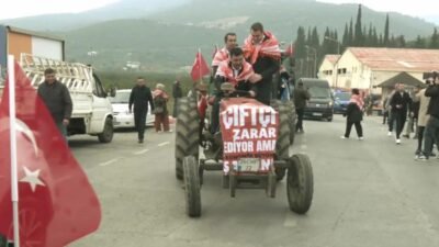 CHP Menderes İlçe Başkanlığı tarafından Gümüldür Pazaryeri’nde mandalina üreticilerine destek
