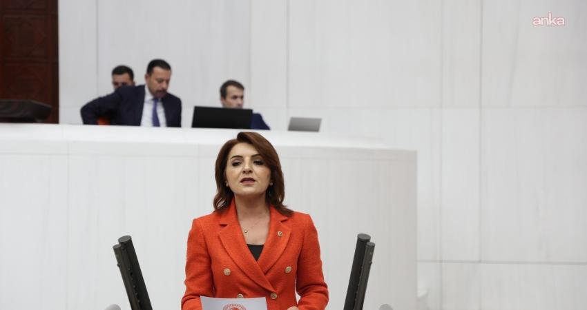 CHP Mersin Milletvekili Gülcan Kış, TBMM’de tamamlanan 2026 yılı bütçe