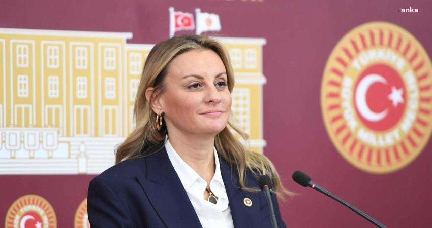 CHP İzmir Milletvekili Seda Kaya Ösen, TBMM Genel Kurulu'nda görüşülmesi