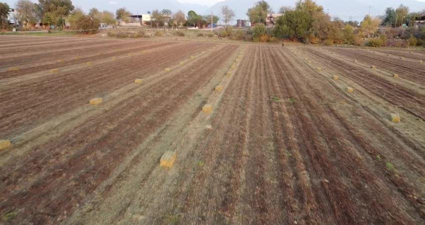 Osmaniye'nin Düziçi ilçesinde çiftçilik yapan Ahmet Şen, artan girdi maliyetleri