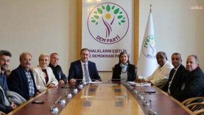 Akdeniz Roman Dernekleri Federasyonu, Türkiye Roman Hakları Forumu ve Uluslararası