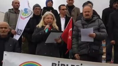 Birleşik Emekliler Sendikası Yönetim Kurulu Üyesi Serpil Küsin Demirörs, "Emeklinin