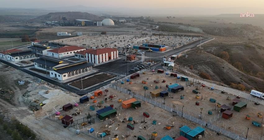 Eskişehir Büyükşehir Belediyesi tarafından, “Şefkatle yaptık, sevgiyle yaşatacağız” sloganıyla Sarısungur