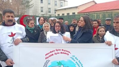 İnsan Hakları Derneği Kars Şube Başkanı Güldane Kılıç, "İnsan Hakları