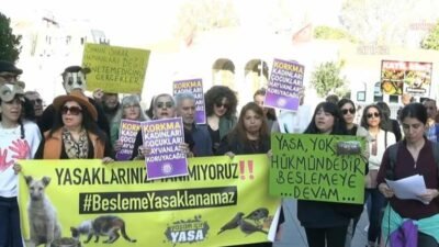 İstanbul Valiliği’nin sahipsiz köpeklerin beslenmesine bazı kısıtlamalar getiren genelgenin hukuka