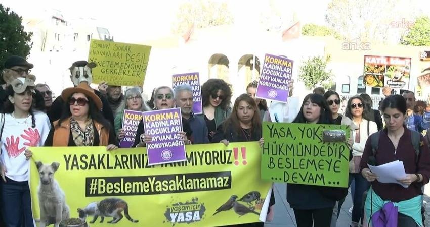 İstanbul Valiliği’nin “besleme” kısıtlamasına 150 avukattan suç duyurusu İstanbul Valiliği’nin sahipsiz köpeklerin beslenmesine bazı kısıtlamalar getiren genelgenin hukuka