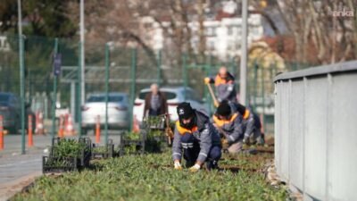 İstanbul Ağaç ve Peyzaj AŞ, 2025 yılının Ocak–Kasım döneminde yürüttüğü