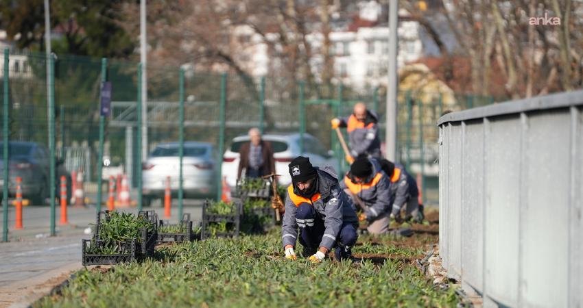 İstanbul Ağaç ve Peyzaj AŞ, 2025 yılının Ocak–Kasım döneminde yürüttüğü