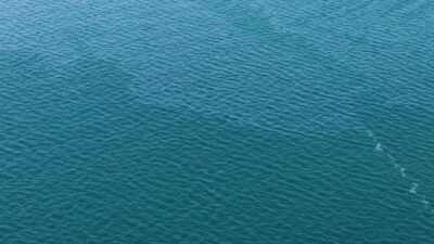 İzmir Büyükşehir Belediye Başkanı Cemil Tugay, körfezin yeniden kirletildiğini belirterek