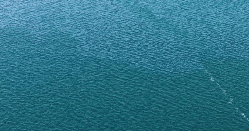 İZBB Başkanı Tugay’dan Körfez kirliliği tepkisi: İzmir’in geleceği için herkes sorumluluğunu yerine getirmelidir İzmir Büyükşehir Belediye Başkanı Cemil Tugay, körfezin yeniden kirletildiğini belirterek