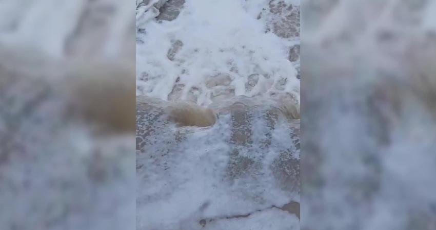 İzmir Büyükşehir Belediyesi İzdeniz Genel Müdürlüğü ekiplerince Körfez ve Gediz