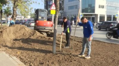 İzmir Büyükşehir Belediyesi, peyzaj alanlarını az su tüketen bitkilerle güzelleştiriyor.