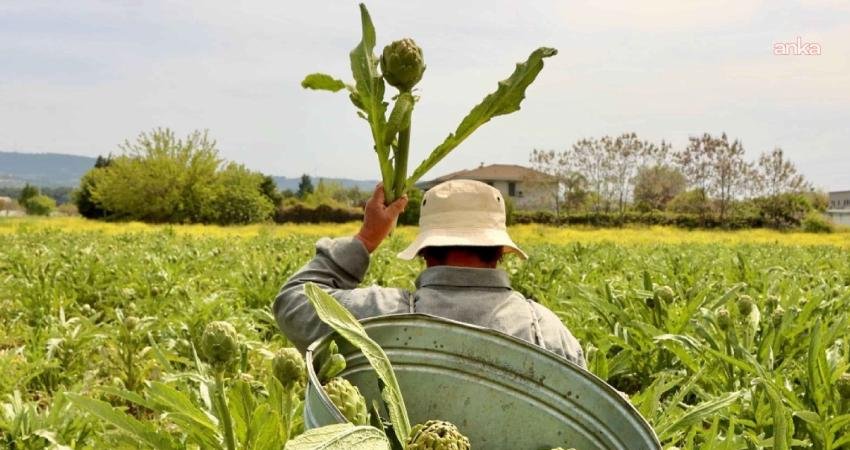 İzmir’in üç sürdürülebilir turizm hikâyesi “Halkın Seçimi” finalinde İzmir Büyükşehir Belediyesi’nin sürdürülebilir turizm vizyonu doğrultusunda yürüttüğü çalışmalar, uluslararası