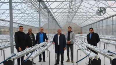 Kahramankazan Belediyesi'nin Ankara Büyükşehir Belediyesi iş birliğiyle hayata geçirdiği Termal