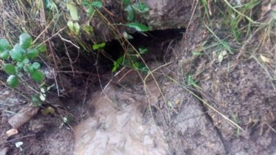 Karadeniz Ereğli Belediyesi Su ve Kanalizasyon İşleri Müdürlüğü ekipleri, yağışlı