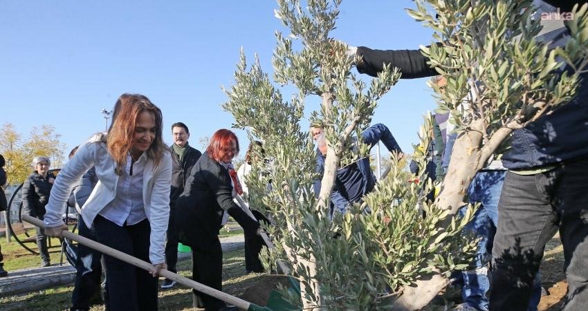 Karşıyaka’da zeytin fidanları toprakla buluştu Karşıyaka Belediyesi, sezonun ilk fidan dikim etkinliğini gerçekleştirdi. Maliye Okulu