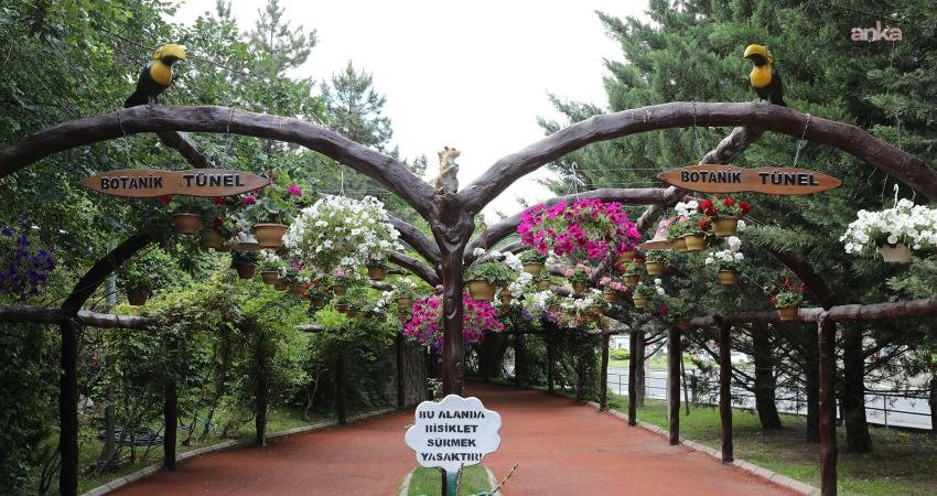Keçiören Belediyesi Park ve Bahçeler Müdürlüğü bünyesinde Ovacık Mahallesi’nde kurulan