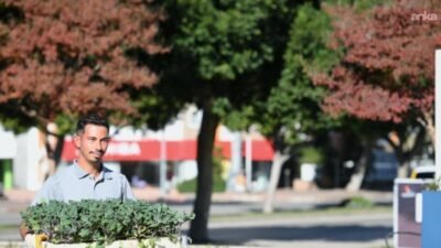 Konyaaltı Belediyesi Park ve Bahçeler Müdürlüğü bünyesinde bulunan fidanlıkta üretilen