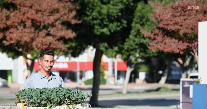 Konyaaltı Belediyesi Park ve Bahçeler Müdürlüğü bünyesinde bulunan fidanlıkta üretilen