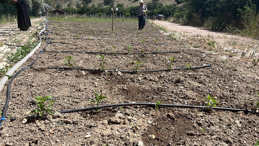 Mamak Belediyesi Kırsal Hizmetler Müdürlüğü, kırsal kalkınma planı kapsamında Üreğil