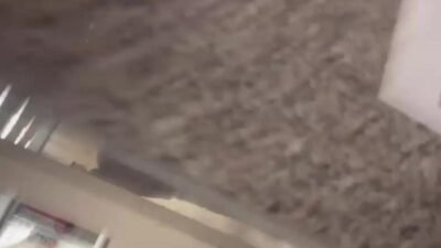 İstanbul Cumhuriyet Başsavcılığı'nın yürüttüğü uyuşturucu soruşturması kapsamında dün gece tutuklanan