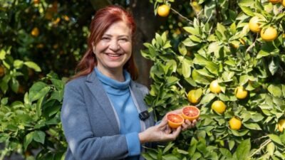 Kentin simge tarım ürünlerinden Mersin kan portakalı, Mersinden Kadın Kooperatifi’nin
