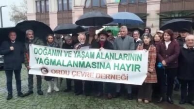 Ordu Çevre Derneği (ORÇEV) Yönetim Kurulu Üyesi Haluk Türkmen, "Ordu