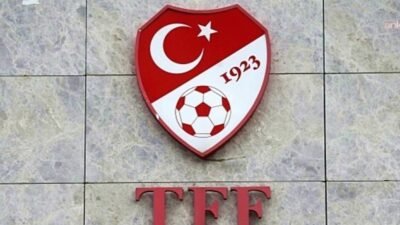 Türkiye Futbol Federasyonu (TFF) Profesyonel Futbol Disiplin Kurulu (PFDK), bazı taraftarlarının