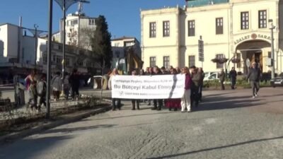 Sinop Emek Barış Demokrasi Platformu, 2026 yılı Bütçe Kanun Teklifi'ni