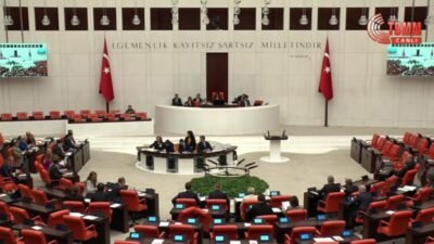 DEM Parti Grup Başkanvekili Sezai Temelli, "TÜİK Başkanı Erhan Çetinkaya