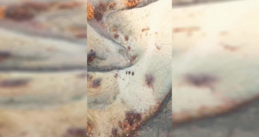 Tunceli’de yasa dışı avcılık yapan 3 kişiye ceza Doğa Koruma ve Milli Parklar Genel Müdürlüğü, Tunceli’de yasa dışı