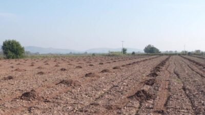 Turgutlu Belediyesi, tarımsal üretimi destekleyen ve sosyal dayanışmayı büyütmeyi hedefleyen