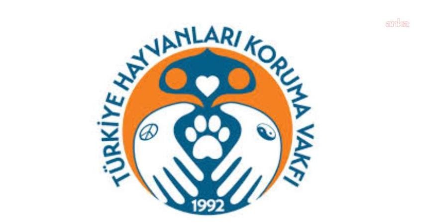 Türkiye Hayvanları Koruma Vakfı Başkanı Erman Paçalı, Danıştay 10. Dairesi'nin Çevre,