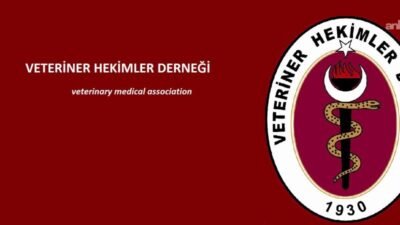 Veteriner Hekimler Derneği Genel Başkanı Gülay Ertürk, Et ve Süt