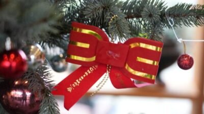 2026’ya sayılı günler kala İBB Şehircilik Grubu şirketi Ağaç ve