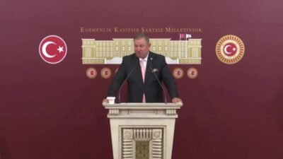 Yeniden Refah Partisi Genel Başkan Yardımcısı ve İstanbul Milletvekili Doğan