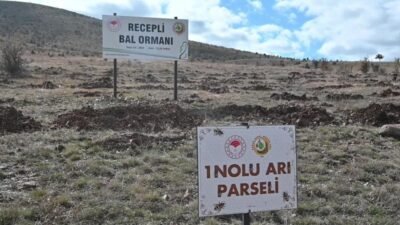 Ulusal havza yönetim stratejisi ile belirlenen 25 ulusal nehir havzasından