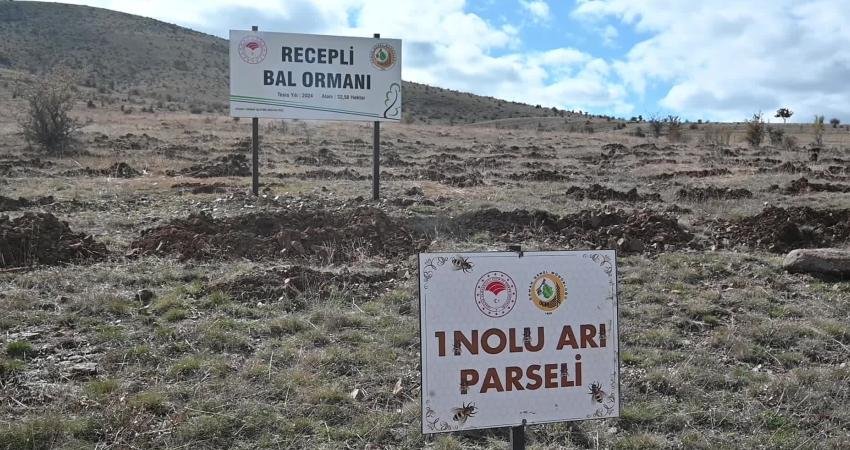 Ulusal havza yönetim stratejisi ile belirlenen 25 ulusal nehir havzasından