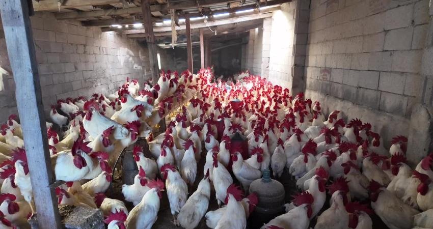 Yozgat’ın Yerköy ilçesine bağlı Saray Köyünde 12 yıl önce kurduğu