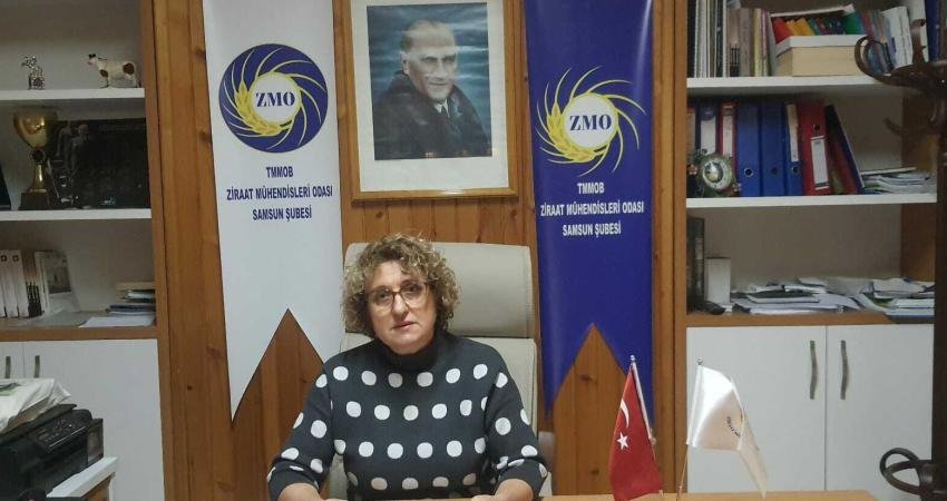 Ziraat Mühendisleri Odası Samsun Şube Başkanı Havva Yurduseven Bayzat, Samsun’daki