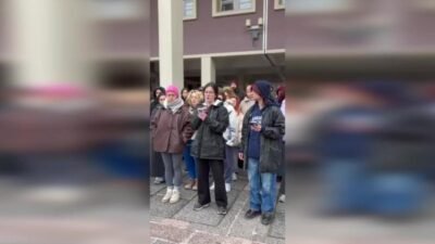 Ankara Üniversitesi öğrencileri ve mezunları, Veteriner Fakültesi kampüsünde yıllardır yaşayan