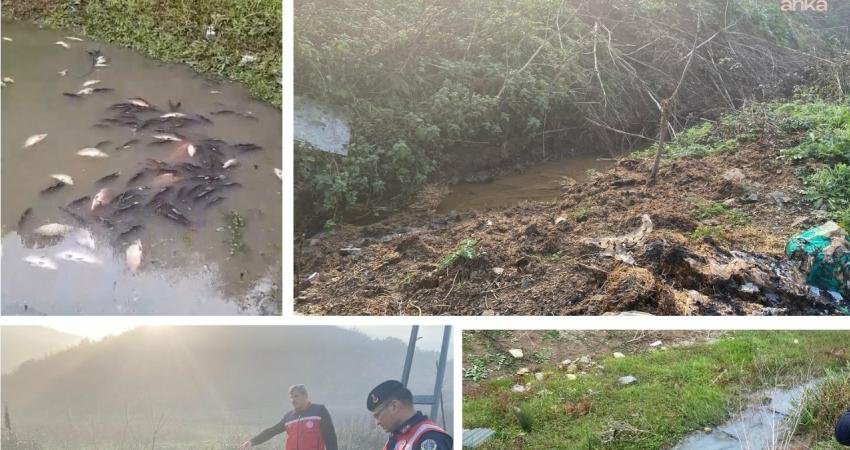 Arnavutköy Şahintepesi'nde bulunan bir gölete borular vasıtasıyla katı ve sıvı