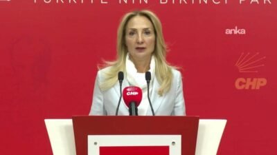 CHP Aile ve Sosyal Hizmetler Politika Kurulu Başkanı Aylin Nazlıaka,