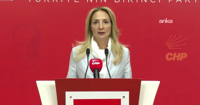 CHP'nin Aile ve Sosyal Hizmetler Politika Kurulu Başkanı Aylin Nazlıaka,