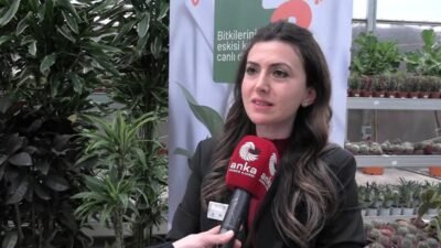 İstanbul Büyükşehir Belediyesi iştiraki İstanbul Ağaç ve Peyzaj AŞ’nin hayata